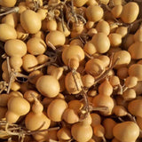 Maxbell Gourd Bottle Statue Wu Lou Chinese Charm Figurine for Decor Gift Collectible 16-19CM