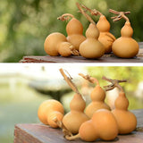 Maxbell Gourd Bottle Statue Wu Lou Chinese Charm Figurine for Decor Gift Collectible 16-19CM