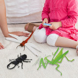 Maxbell 3Pcs Paper Crafts DIY Kits Dragonfly Model Home Office Decoration Handmade