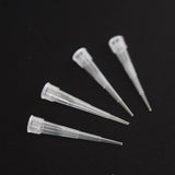 Maxbell 100Pcs Flowers Fixed Tube Wedding Arrangement Micro Landscape Supplies S