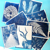 Maxbell Sun Print Paper Solar Drawing Paper Cyanotype Paper for Kids Adults 32Pcs