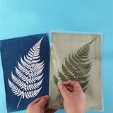 Maxbell Sun Print Paper Solar Drawing Paper Cyanotype Paper for Kids Adults 18pcsA4 and 18pcsA5