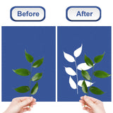 Maxbell Sun Print Paper Solar Drawing Paper Cyanotype Paper for Kids Adults 18pcsA4 and 18pcsA5
