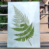 Maxbell Sun Print Paper Solar Drawing Paper Cyanotype Paper for Kids Adults 18pcsA4 and 18pcsA5