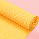 Maxbell Crepe Paper Flower DIY Kits with Floral Stem Wire Gift Wrapping Party Favor Style A