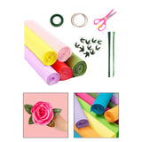 Maxbell Crepe Paper Flower DIY Kits with Floral Stem Wire Gift Wrapping Party Favor Style A