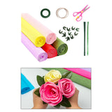 Maxbell Crepe Paper Flower DIY Kits with Floral Stem Wire Gift Wrapping Party Favor Style A