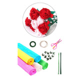 Maxbell Crepe Paper Flower DIY Kits with Floral Stem Wire Gift Wrapping Party Favor Style B