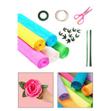 Maxbell Crepe Paper Flower DIY Kits with Floral Stem Wire Gift Wrapping Party Favor Style B