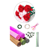Maxbell Crepe Paper Flower DIY Kits with Floral Stem Wire Gift Wrapping Party Favor Style C