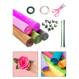 Maxbell Crepe Paper Flower DIY Kits with Floral Stem Wire Gift Wrapping Party Favor Style C