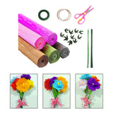 Maxbell Crepe Paper Flower DIY Kits with Floral Stem Wire Gift Wrapping Party Favor Style C