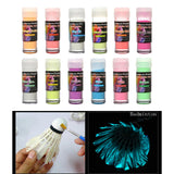Maxbell Glow in The Dark Pigment Set Luminous Powder for Night Club Graffiti Slime