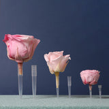 Maxbell 100 Pieces Flower Picks Flower Holder Tube Clear Fixed Spikes for DIY Craft L
