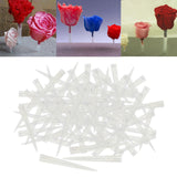 Maxbell 100 Pieces Flower Picks Flower Holder Tube Clear Fixed Spikes for DIY Craft L