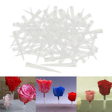 Maxbell 100 Pieces Flower Picks Flower Holder Tube Clear Fixed Spikes for DIY Craft L