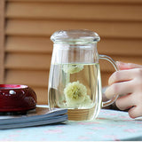 Maxbell Glass Tea Infuser Cup with Tea Strainer and Lid Durable Heat-resistant