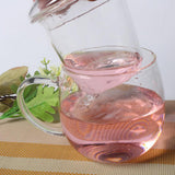 Maxbell Glass Tea Infuser Cup with Tea Strainer and Lid Durable Heat-resistant
