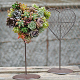 Maxbell Iron Wire Heart Frame Stand Succulent Pot Metal Hanging Planter Plant Holder