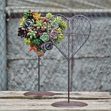 Maxbell Iron Wire Heart Frame Stand Succulent Pot Metal Hanging Planter Plant Holder