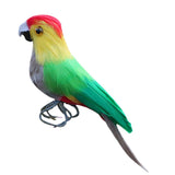 Artificial Bird Feathered Realistic Garden Home Decor Ornament Parrot #1