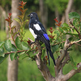 Max Artificial Feathered Animal Bird Garden Figurine Decor Magpie