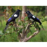 Max Artificial Feathered Animal Bird Garden Figurine Decor Magpie