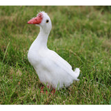 Max Artificial Feathered Animal Bird Garden Figurine Decor Goose