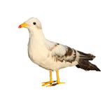 Max Artificial Bird Feather Realistic Home Garden Decor Ornament Seagull 2