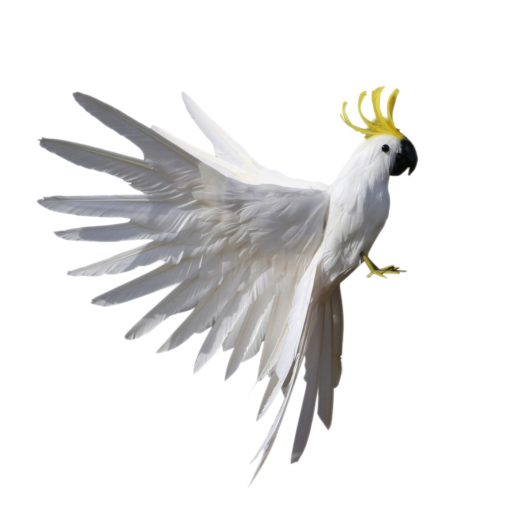 Maxbell Artificial Bird Flying Parrot Wings Home Art Decor 15.7inch White