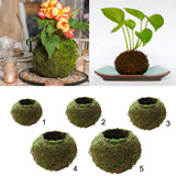 Max Creative Moss Ball Flower Pot Planter Bonsai Plant Holder Home Garden 6cm
