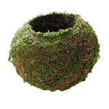 Max Creative Moss Ball Flower Pot Planter Bonsai Plant Holder Home Garden 6cm