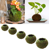 Max Creative Moss Ball Flower Pot Planter Bonsai Plant Holder Home Garden 6cm