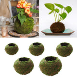 Max Creative Moss Ball Flower Pot Planter Bonsai Plant Holder Home Garden 6cm