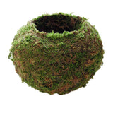 Max Creative Moss Ball Flower Pot Planter Bonsai Plant Holder Home Garden 9cm