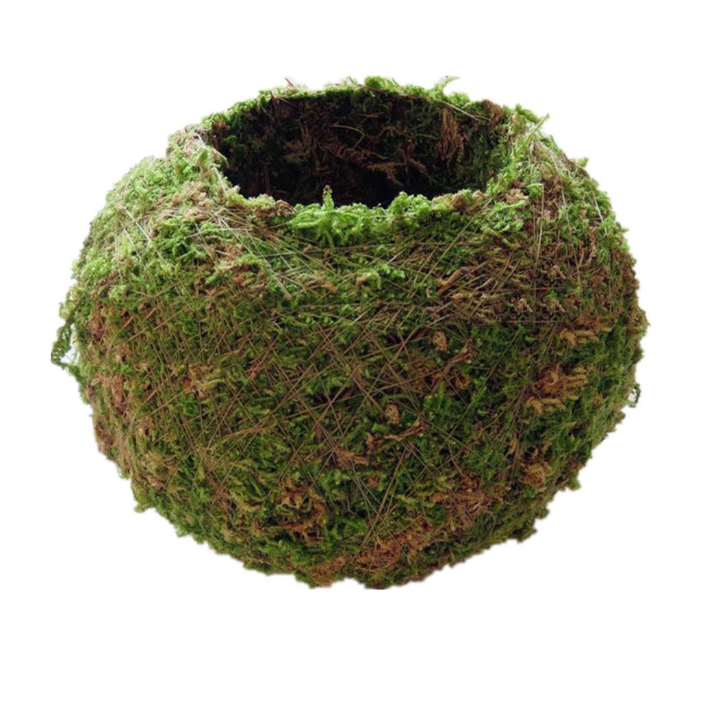 Max Creative Moss Ball Flower Pot Planter Bonsai Plant Holder Home Garden 12cm
