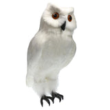 Max Artificial Owl Bird Feather Realistic Taxidermy Home Garden Decor White #1