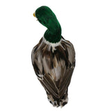 Max Realistic Duck Ornament Decoy Home Garden Water Pond Decor Mallard Duck L