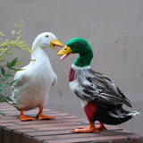 Max Realistic Duck Ornament Decoy Home Garden Water Pond Decor Mallard Duck L