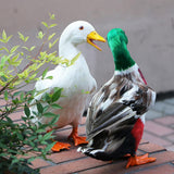Max Realistic Duck Ornament Decoy Home Garden Water Pond Decor Mallard Duck L