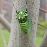 Max Realistic Insect Animal Pot Hanger Fridge Magnet Garden Decor Cicada