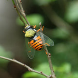 Max Realistic Insect Animal Pot Hanger Fridge Magnet Garden Decor Bee