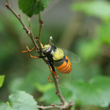 Max Realistic Insect Animal Pot Hanger Fridge Magnet Garden Decor Bee