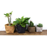 Max Washable Kraft Paper Storage Bag Succulent Plant Pot 8x8x15cm Olive Green