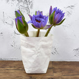 Max Washable Kraft Paper Bag Plant Flowers Pot Storage Bag White 8x8x15cm