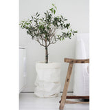 Max Washable Kraft Paper Bag Plant Flowers Pot Storage Bag White 8x8x15cm