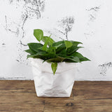 Max Washable Kraft Paper Bag Plant Flowers Pot Storage Bag White 20x20x35cm