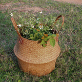 Max StrawWoven Flower Pot Vase Basket Green Plant Holder 38x34cm Brown