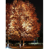 Max LED Buried Light Under Ground Lamp Outdoor PathWay Garden Decking 15W Green