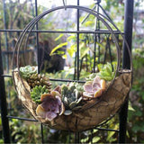 Max Iron Wire Wreath Frame Succulent Pot Metal Planter Plant Holder Decoration C